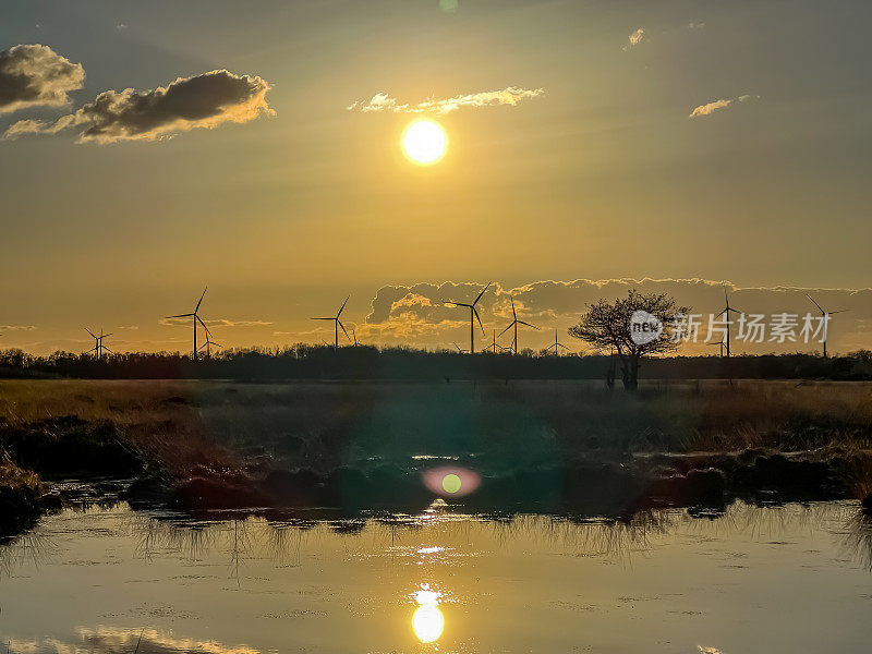 在德国，天气好的时候，可以看到名为“Emsdettener Venn”的沼地。